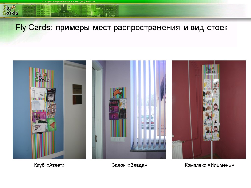 Fly Cards: примеры мест распространения и вид стоек Клуб «Атлет» Салон «Влада» Комплекс «Ильмень»